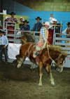 jasper heritage rodeo