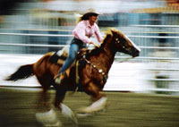 jasper rodeo